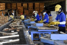 Adhesión del Reino Unido al CPTPP favorecerá actividades comerciales de Vietnam