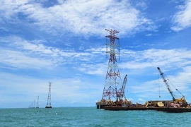 Puertos marítimos vietnamitas entre los más activos en el mundo