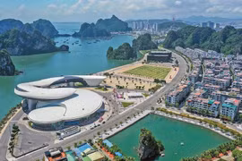 El sendero de la costa Ha Long - Cam Pha, una de las carreteras más hermosas de Vietnam