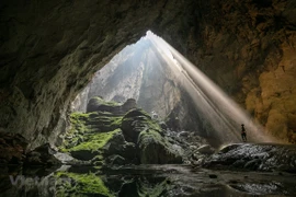 Parque vietnamita Phong Nha-Ke Bang en la lista de los 25 mejores del mundo