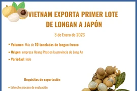 Vietnam exporta primer lote de longan a Japón
