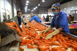 Vietnam aspira a ser uno de los diez principales procesadores de agricultura del mundo