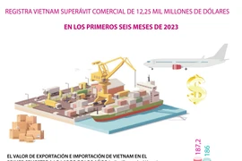 Registra Vietnam superávit comercial de 12,25 mil millones de dólares
