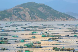 Binh Ba - "Isla de la langosta" en la bahía de Cam Ranh