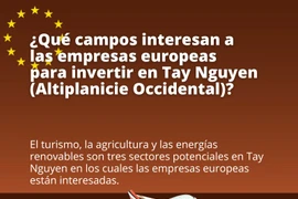 Empresas europeas están interesadas en invertir en Vietnam