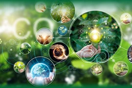 Economía circular: solución para el desarrollo sostenible