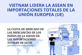 Vietnam lidera la ASEAN en importaciones totales de la Unión Europea