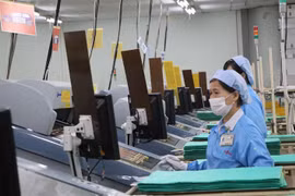Ciudad Ho Chi Minh busca utilizar efectivamente recursos para el desarrollo 