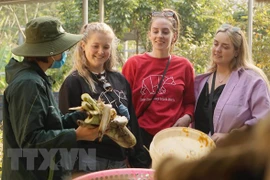 Turismo de naturaleza multiplica atractivos de centro de conservación de osos en Vietnam