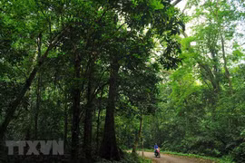Cuc Phuong premiado por quinta vez como el parque nacional líder de Asia 