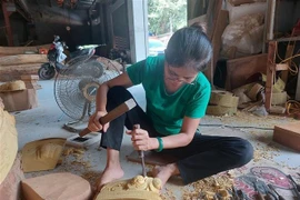Hanoi busca promover turismo de agricultura y rural 