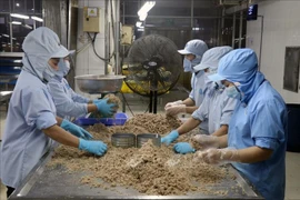 Provincia vietnamita de Kien Giang trabaja por aumentar ingresos de sus exportaciones