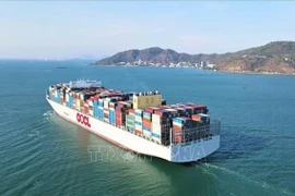 Carga de contenedores mediante puertos marítimos vietnamitas se duplica en siete años 