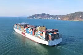 Carga de contenedores mediante puertos marítimos vietnamitas se duplica en siete años 