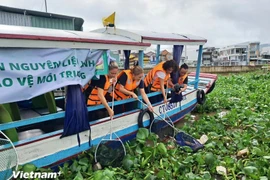 Actividades de recogida de residuos y saneamiento ambiental en el mercado flotante de Cai Rang, distrito de Ninh Kieu. (Foto: Vietnam+)