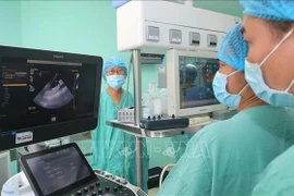 El equipo de médicos del Hospital Central de Hue dirige la realización de un trasplante de órganos procedentes de un donante con muerte cerebral en el Hospital Vietnam-Suecia en Uong Bi, provincia de Quang Ninh. (Fuente: VNA)