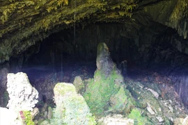 La cueva Con Moong fue excavada por primera vez en 1976. (Fuente: VNP)