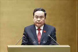 El presidente de la Asamblea Nacional de Vietnam, Tran Thanh Man (Fuente: VNA)
