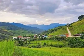 Se han formado muchas carreteras entre aldeas y comunas para ayudar a los habitantes de la provincia de Kon Tum a facilitar sus actividades económicas. (Fuente: VNA)