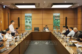 Diputados de la Asamblea Nacional de las provincias de Dien Bien, Vinh Long, Kon Tum y la ciudad de Can Tho discutieron en el grupo. (Fuente: VNA) 