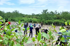 Buscan equilibrio entre desarrollo económico y conservación de la naturaleza y la biodiversidad. (Foto: Vietnam+)