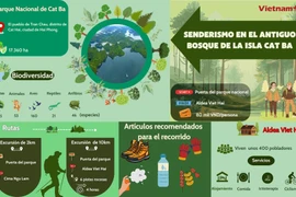 Experimente ruta de senderismo por el bosque primitivo en la isla Cat Ba