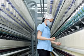 Vietnam es actualmente el mayor mercado de exportación de algodón de Australia y representa el 40% de sus exportaciones totales (Foto: Vietnam+)