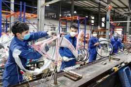 La producción de bicicletas para los mercados nacional y de exportación en la compañía de Thong Nhat (Fuente: VNA)