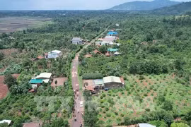 El tramo de la autopista Khanh Hoa - Buon Ma Thuot que pasa por la comuna de Ea Kenh, distrito de Krong Pac, provincia de Dak Lak, ha sido marcado para su limpieza de terreno. (Fuente: VNA)