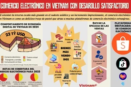 Comercio electrónico en Vietnam con desarollo satisfactorio