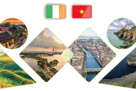 Relaciones de amistad y cooperación Vietnam - Irlanda