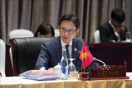 El viceministro de Relaciones Exteriores de Vietnam, Do Hung Viet (Fuente: VNA)