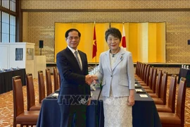 El ministro de Relaciones Exteriores de Vietnam, Bui Thanh Son, y su homóloga japonesa, Kamikawa Yoko. (Fuente: VNA)