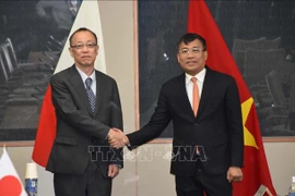 El viceministro vietnamita de Relaciones Exteriores, Nguyen Minh Vu, y su homólogo japonés, Funakoshi Takehiro, en el Diálogo (Fuente: VNA) 