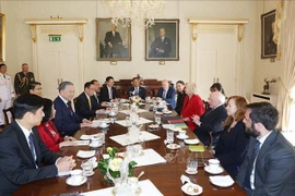 En las conversaciones entre el secretario general del Partido Comunista y presidente de Vietnam, To Lam, y el presidente de Irlanda, Michael Higgins (Fuente: VNA)
