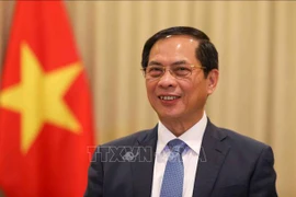 El vicepremier y canciller de Vietnam, Bui Thanh Son (Fuente: VNA)