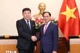 El canciller vietnamita Bui Thanh Son (derecha) recibe al viceministro de Asuntos Exteriores de la República Popular Democrática de Corea (RPDC), Pak Sang Gil. (Fuente: VNA)