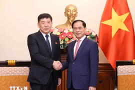 El canciller vietnamita Bui Thanh Son (derecha) recibe al viceministro de Asuntos Exteriores de la República Popular Democrática de Corea (RPDC), Pak Sang Gil. (Fuente: VNA)