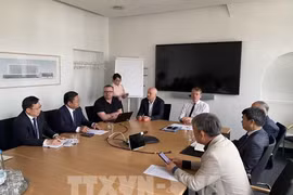 En la sesión de trabajo entre la delegación vietnamita y el Hospital Universitario Goethe en Fráncfort (Fuente: VNA)