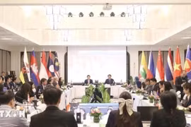 En la 19 reunión del Grupo de Trabajo del Foro de la ASEAN sobre Tributación en la provincia de Luang Prabang, Laos. (Foto: VNA)