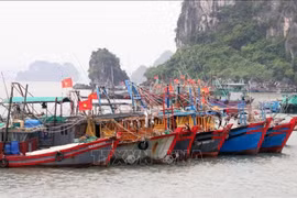 Los barcos pesqueros en Quang Ninh (Fuente: VNA)