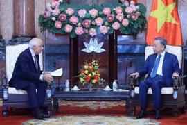 El presidente de Vietnam, To Lam y el vicepresidente de la Comisión Europea (CE) Josep Borrell Fontelles. (Fuente: VNA)