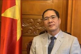 El embajador de Vietnam en Bulgaria, Do Hoang Long (Fuente: VNA)