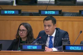 Dang Hoang Giang, jefe de la misión permanente de Vietnam ante la ONU, pronuncia un discurso en la reunión (Fuente: VNA)