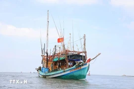 Un barco pesquero de la provincia de Ca Mau (Fuente: VNA)