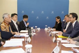 En la 16ª Consulta Política Vietnam - Singapur (Fuente: VNA)