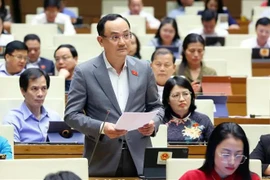 El diputado de la provincia de Hai Duong, Nguyen Ngoc Son (Fuente: VNA)