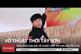 Tradición de artes marciales en Binh Dinh conserva su vigor