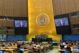 El embajador Dang Hoang Giang pronuncia su discurso en la sesión de debate. (Fuente: VNA) 