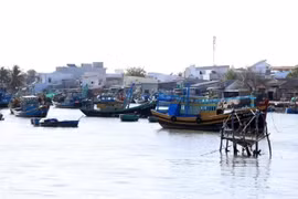 Barcos pesqueros en la provincia de Binh Thuan (Fuente: VNA)